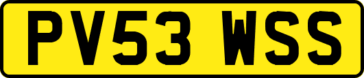 PV53WSS