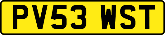 PV53WST