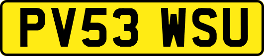 PV53WSU