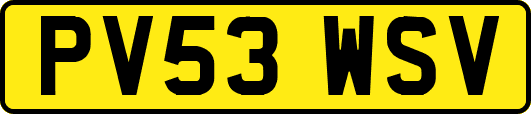 PV53WSV