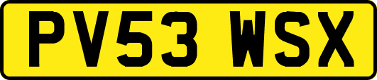 PV53WSX