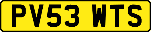 PV53WTS