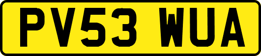 PV53WUA