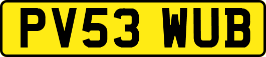 PV53WUB