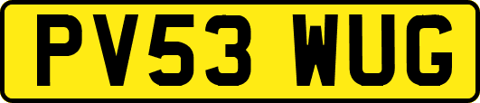 PV53WUG