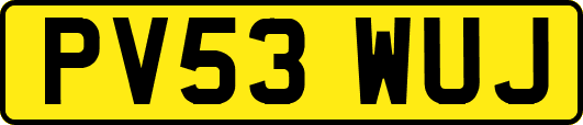 PV53WUJ