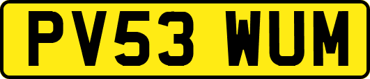 PV53WUM