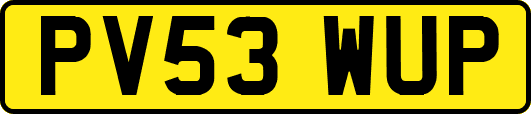 PV53WUP