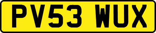 PV53WUX