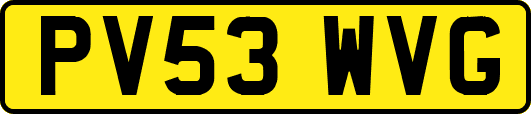 PV53WVG