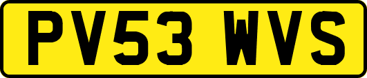 PV53WVS