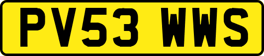 PV53WWS