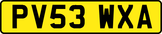 PV53WXA