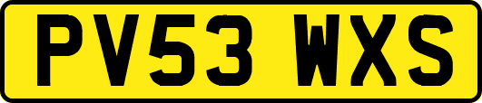 PV53WXS
