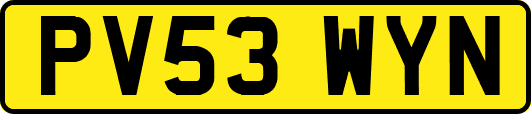 PV53WYN