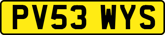 PV53WYS