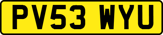 PV53WYU