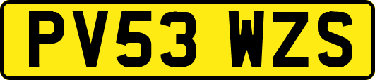PV53WZS