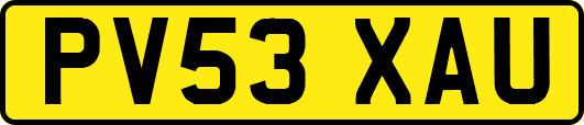 PV53XAU