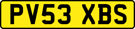 PV53XBS