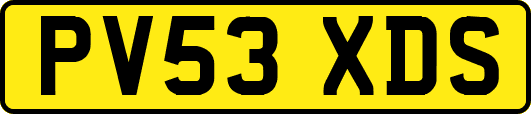 PV53XDS