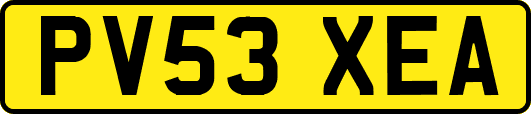 PV53XEA