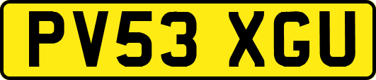 PV53XGU
