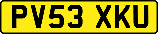 PV53XKU