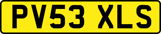 PV53XLS