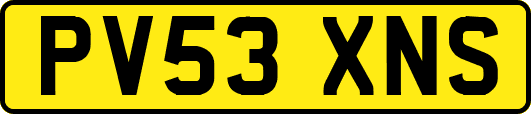 PV53XNS