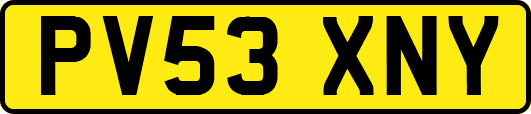 PV53XNY