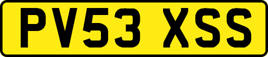 PV53XSS