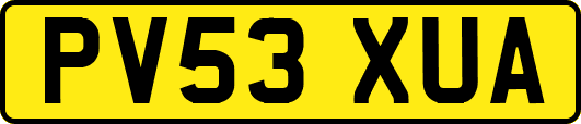 PV53XUA