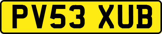 PV53XUB