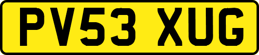 PV53XUG