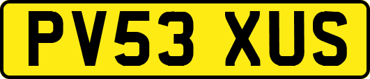 PV53XUS