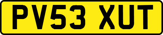 PV53XUT