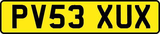 PV53XUX