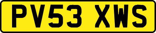 PV53XWS