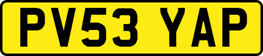 PV53YAP
