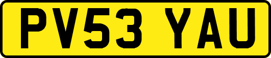 PV53YAU