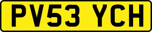 PV53YCH