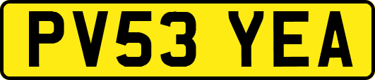 PV53YEA