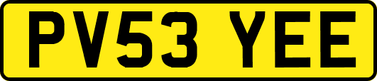 PV53YEE
