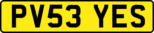 PV53YES