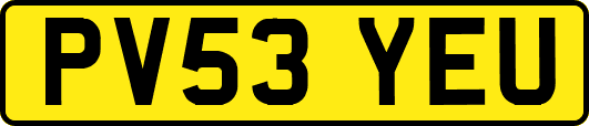PV53YEU