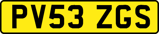PV53ZGS