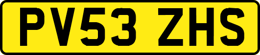 PV53ZHS