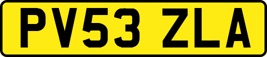 PV53ZLA