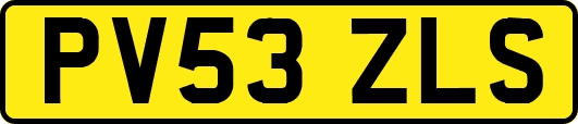 PV53ZLS
